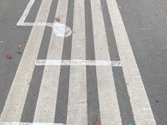-苏州太湖西山岛开心农场