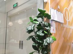 -许小树(国贸商城店)
