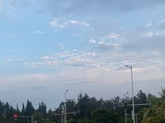 -阿弟特色海鲜餐厅·大排档(平潭店)