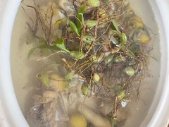 -潮陈记土鸡火锅(东厦北路店)