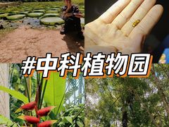 -中国科学院西双版纳热带植物园