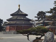 -中国唐苑