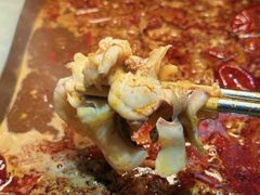 -京门活鱼馆·鱼火锅(百子湾（原红庙）店)