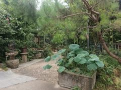 -罗浮山·罗园农庄