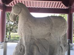 -茂陵博物馆