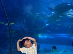 -左海海底世界