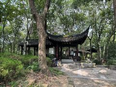 -上海佘山国家森林公园天马山园