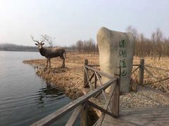 -溱湖国家湿地公园