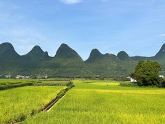 -万峰林风景区