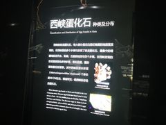 -中国西峡恐龙遗迹园