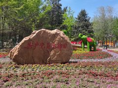 -长白岛森林公园