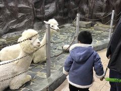 -上海大自然野生昆虫馆(东方明珠·爬宠昆虫探索中心)