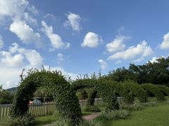 -东南花都花博园