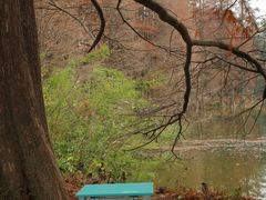 -华南国家植物园-售票处