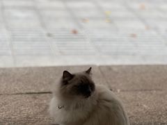 -FULL MOON满月咖啡