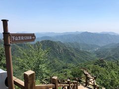 -大岭沟猕猴桃谷风景区