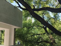 -湖北美术学院(昙华林校区)