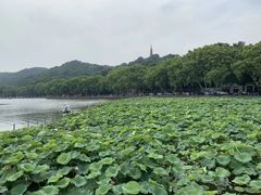 -西湖游船