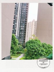 点击看大图 -思怡瑜伽·普拉提·减脂塑形
