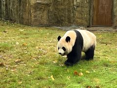 -上海野生动物园
