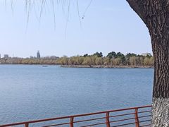 -长春市南湖公园