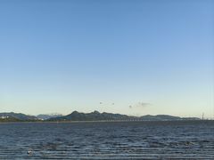 -深圳湾公园(南山区)