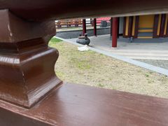 -龙华寺