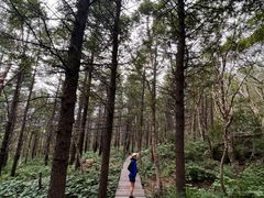 -白草畔自然风景区