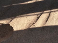 -恩格贝生态旅游区