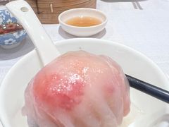 -新雅粤菜馆(南京东路店)