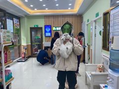 -瑞鹏宠物医院·夜间急症·心超·猫科(祖庙分店)