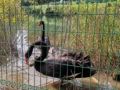 -长白岛森林公园