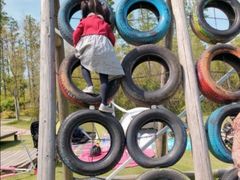 -前小桔亲子创意农场·草莓采摘·露营烧烤