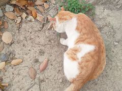 -华东政法大学(松江校区)