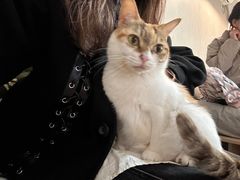 -爱诺耐芙动物医院(万博店)