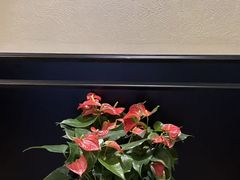 -涟LIAN·泰式按摩·MASSAGE·SPA(深业上城店)