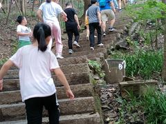 -紫金山山顶公园