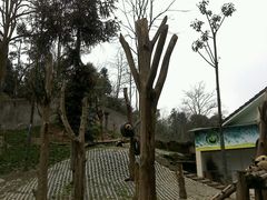 android_upload_pic-碧峰峡风景区