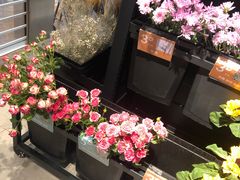 -盒马鲜生(宝地店)