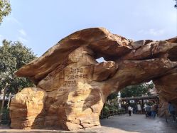 -翱翔飞越地平线