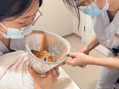 -立德动物医院·24小时中心(番禺区院区)