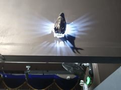 -Xcape异时刻密室逃脱魔法互动(瑞虹天地太阳宫店)