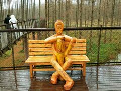 -黄海国家森林公园