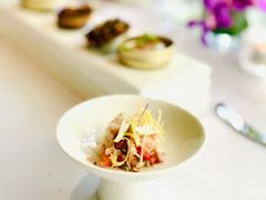 -蝶舍·MAISON PAPILLON