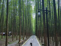 -山王坪喀斯特国家生态公园