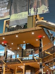 -卡通尼·Safari非洲探索乐园·生日会(金桥国际商业广场店)