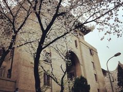 -武汉大学-樱园