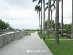 -三亚亚龙湾红树林度假酒店
