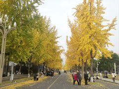 -四川大学(望江校区)