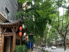 -成都蓝城悦杏温泉美食酒店(宽窄巷子店)